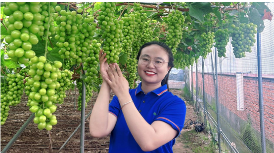 粮丰天下安！新洋丰农服领军模式引领科学种植新风尚