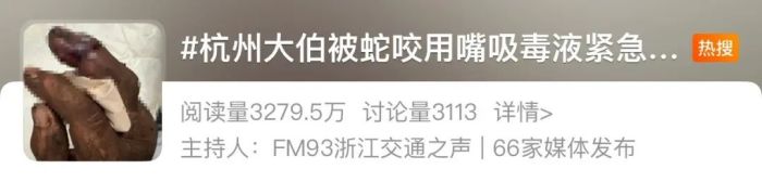 被咬一口，肿到发黑！发现请立即远离